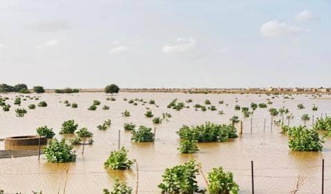أمطار متفاوتة على ولايات الحوضين وكيديماغه