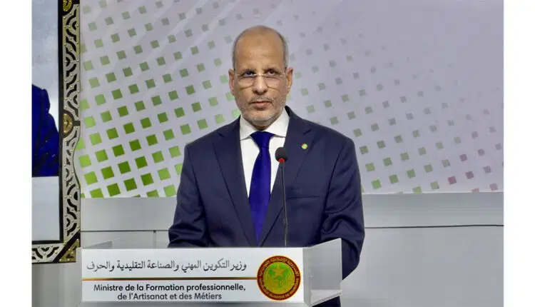 ولد أييه: حسم قضية النائبتين من اختصاص المؤسسات الدستورية والقضائية