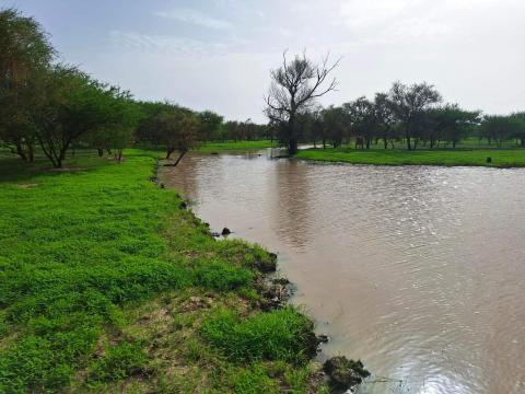 أمطار مرتقبة جنوباً وارتفاع درجات الحرارة في مناطق من البلاد