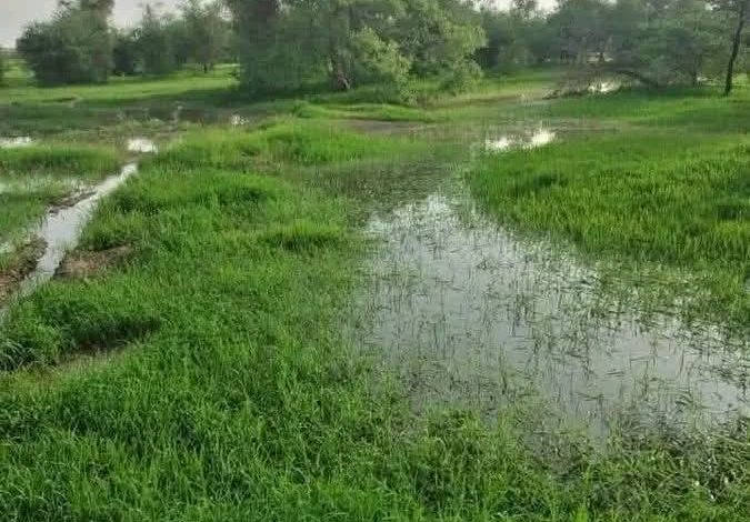 الوضعية المطرية.. تفاوت بين الجنوب والشمال ومؤشرات مشجعة للموسم الزراعي