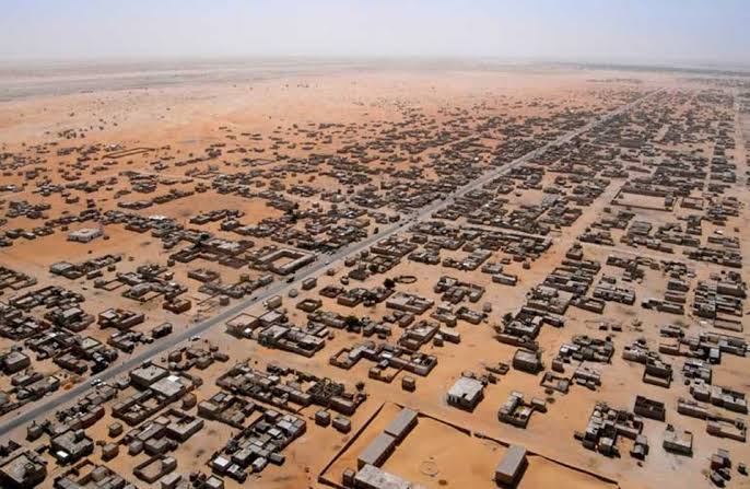 وفد من الشركات الألمانية يبحث فرص الاستثمار والشراكة في موريتانيا